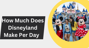 how much does disneyland make per day