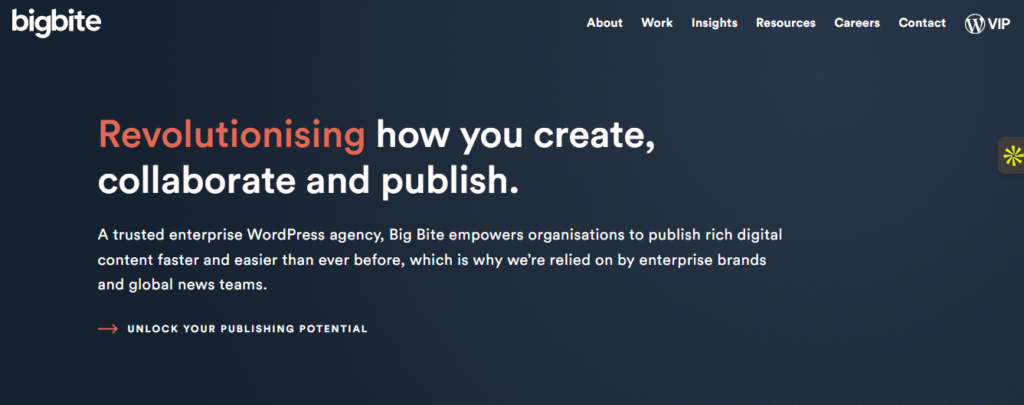 Big Bite – Enterprise WordPress solutions (Newcastle / UK)